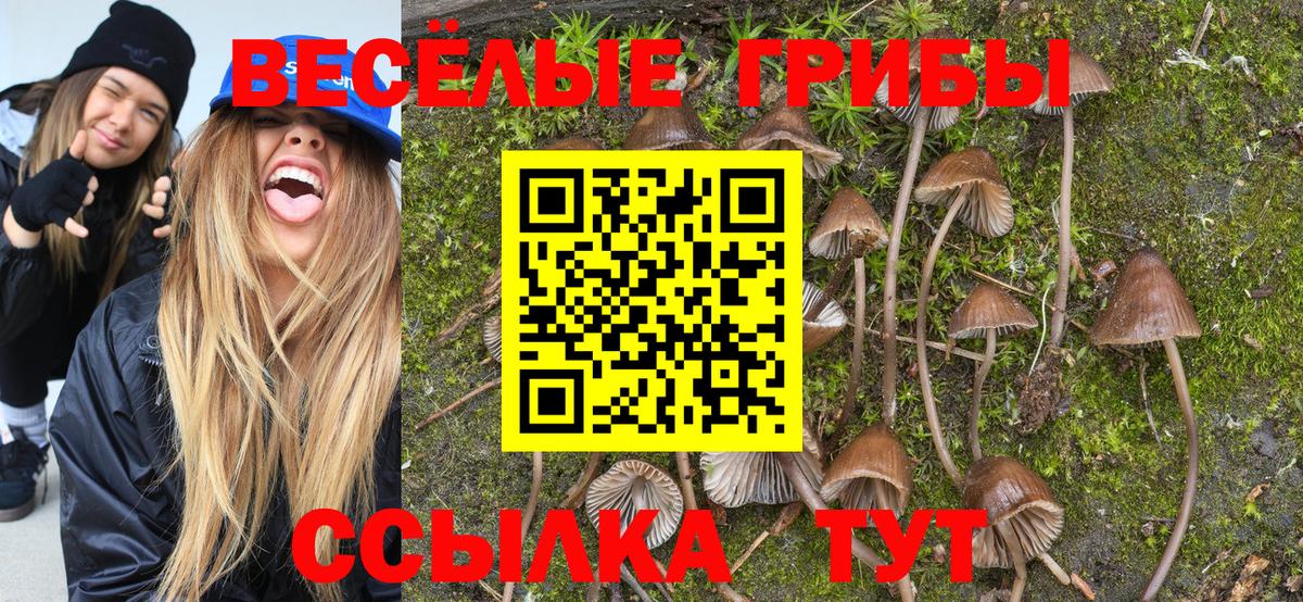 Псилоцибиновые грибы ЛСД Реж