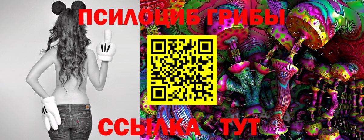 Галлюциногенные грибы Magic Shrooms  Вход с VPN  Реж  Псилоцибиновые грибы мицелий 